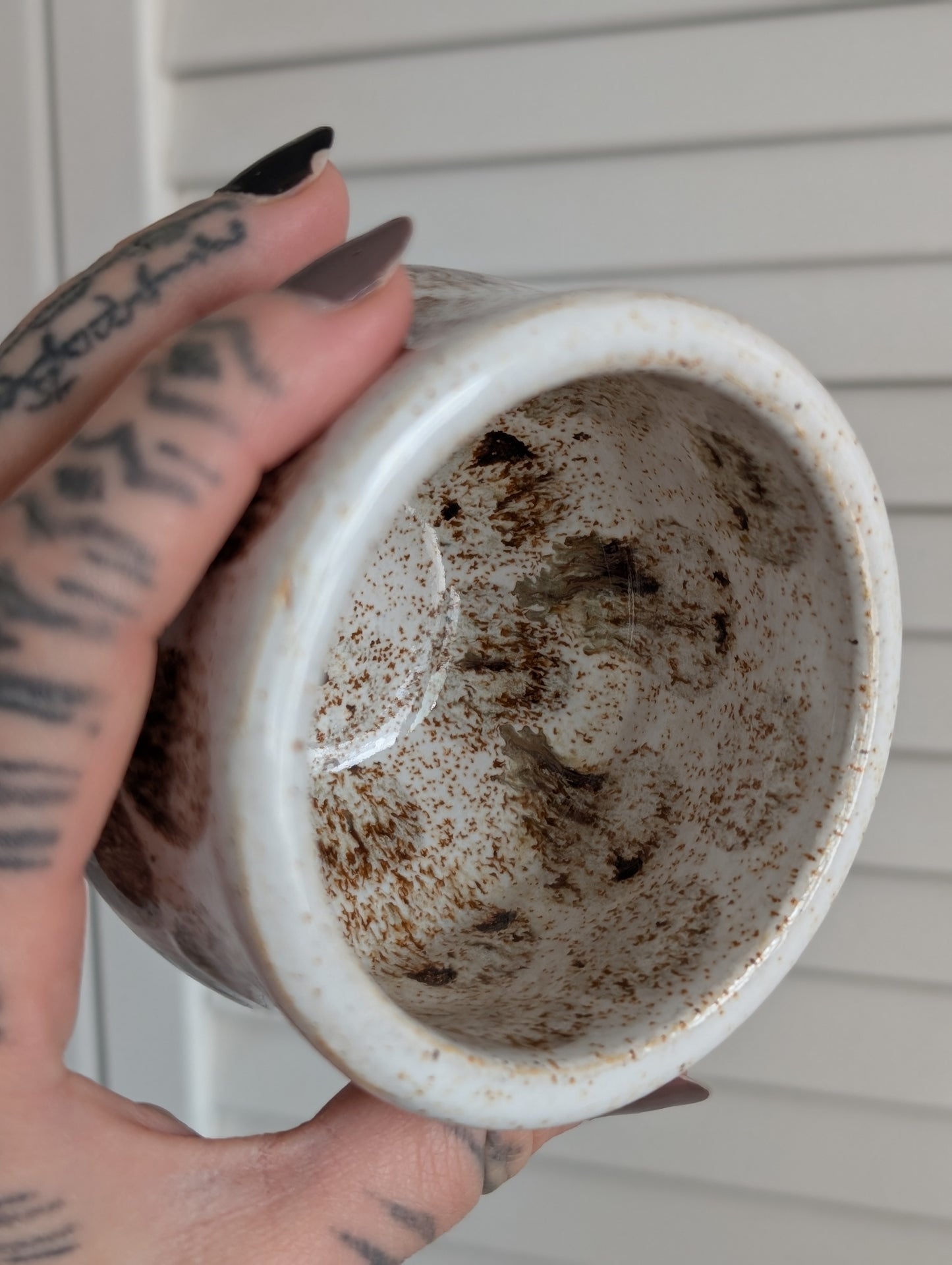Small Cup • 8.5 oz