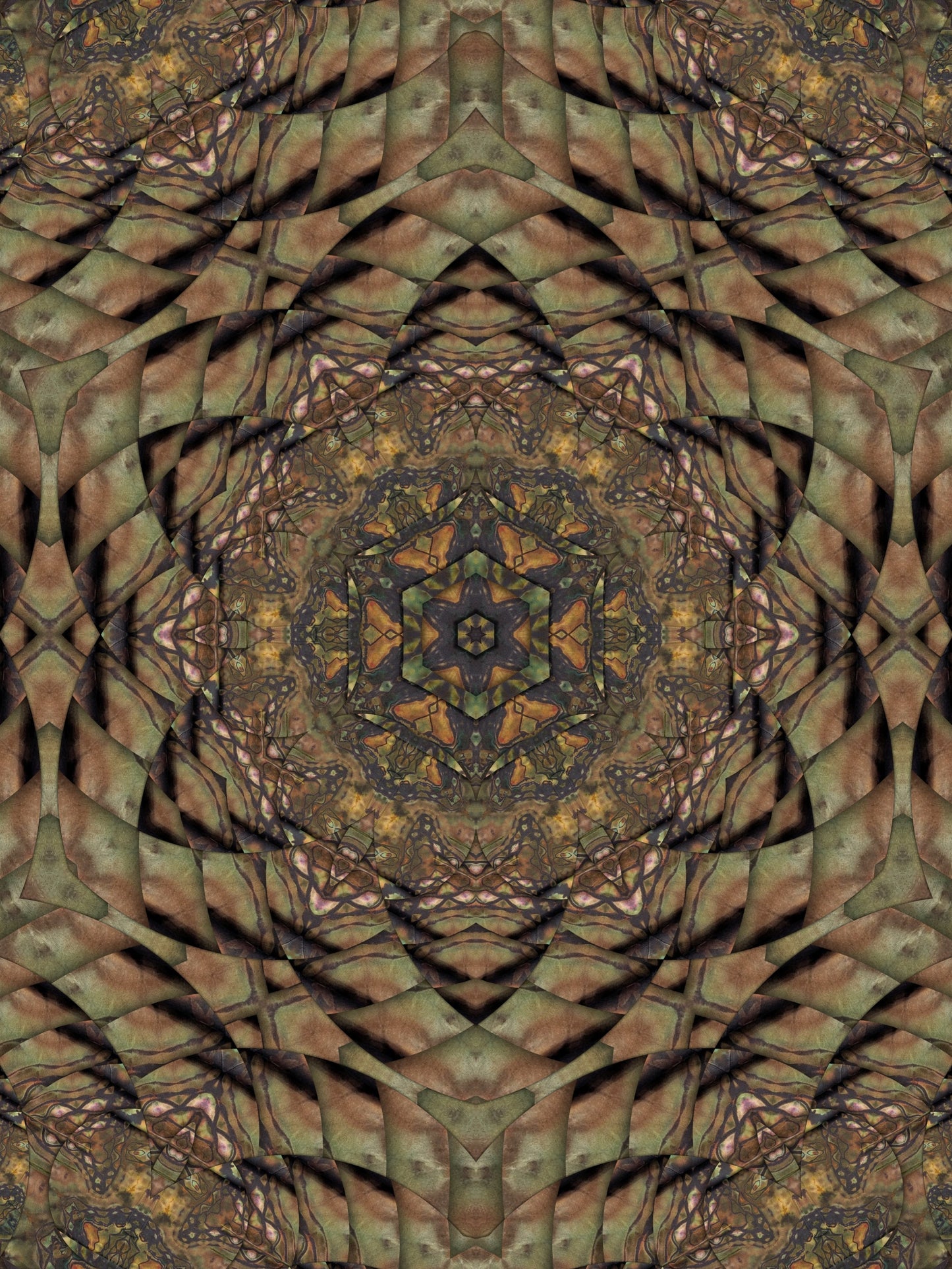 Sacred Vision Gift Card