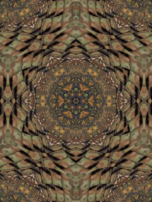 Sacred Vision Gift Card